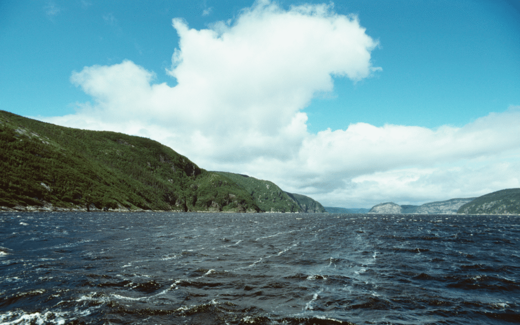 Addiction Treatment in Saguenay