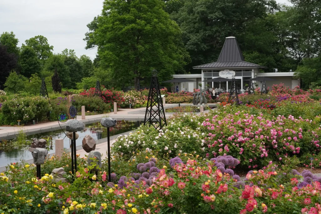 addiction treatment in burlington