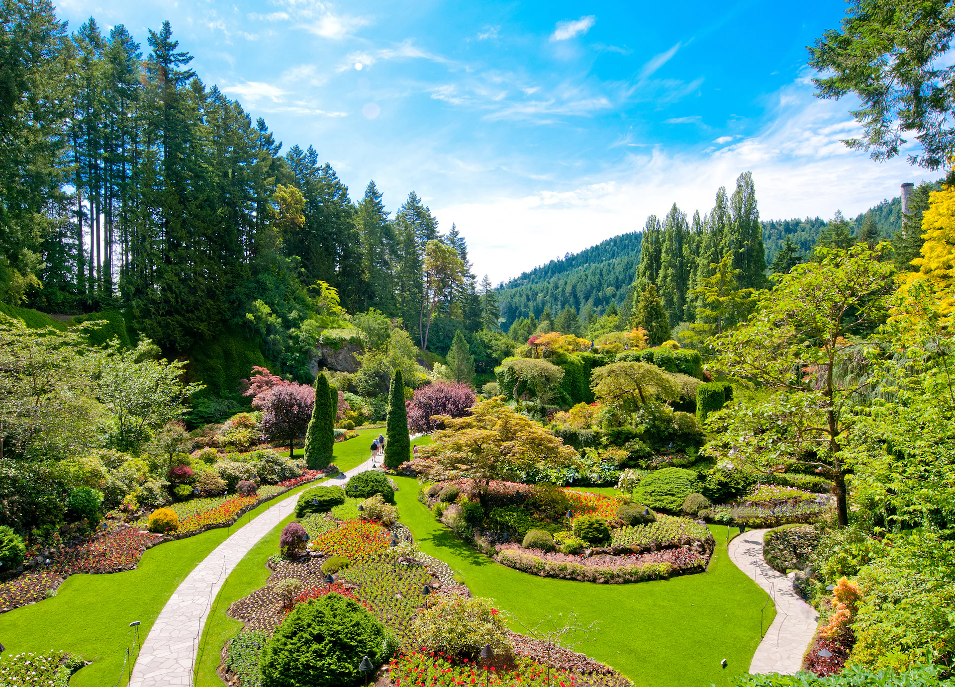 addiction treatment in victoria